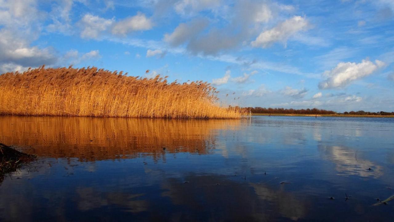 Emilias Hues, Reethaus In Der Bucht Von Wismar Zierow Luaran gambar