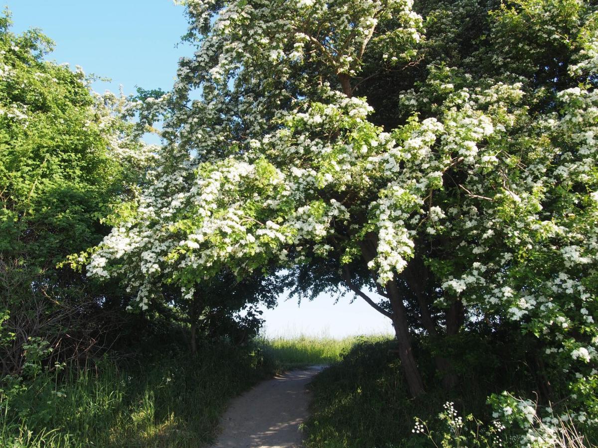 Emilias Hues, Reethaus In Der Bucht Von Wismar Zierow Luaran gambar