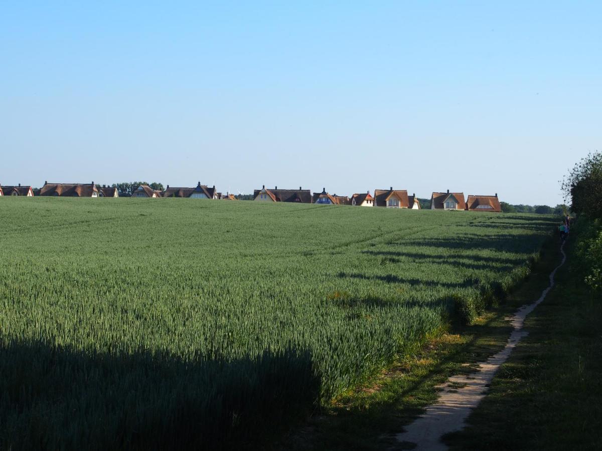 Emilias Hues, Reethaus In Der Bucht Von Wismar Zierow Luaran gambar