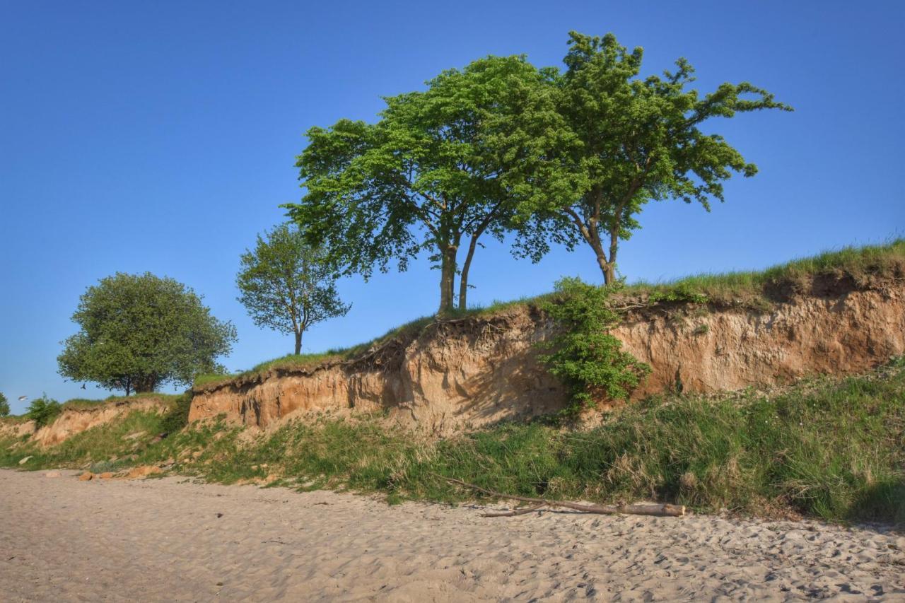 Emilias Hues, Reethaus In Der Bucht Von Wismar Zierow Luaran gambar