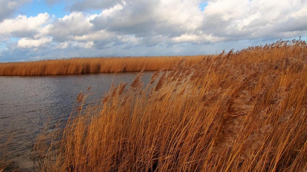 Emilias Hues, Reethaus In Der Bucht Von Wismar Zierow Luaran gambar