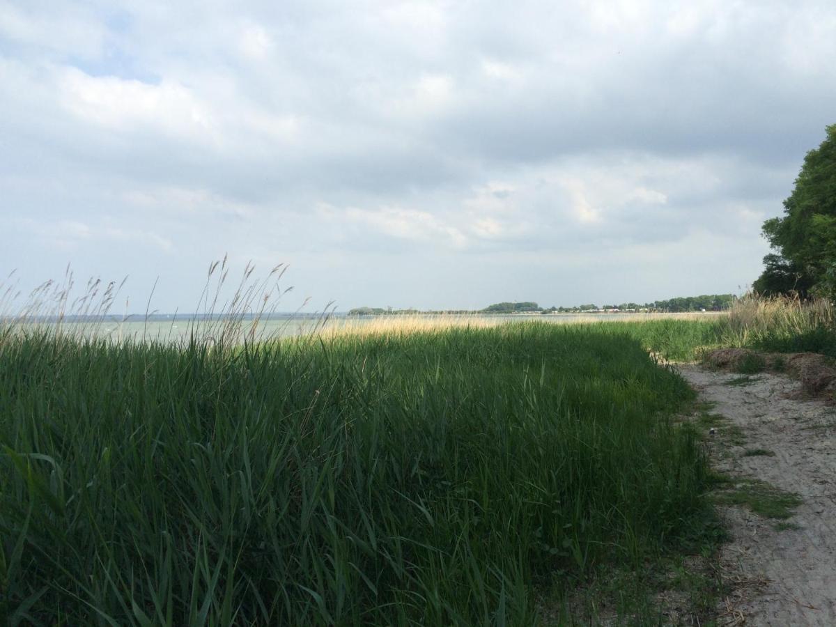 Emilias Hues, Reethaus In Der Bucht Von Wismar Zierow Luaran gambar